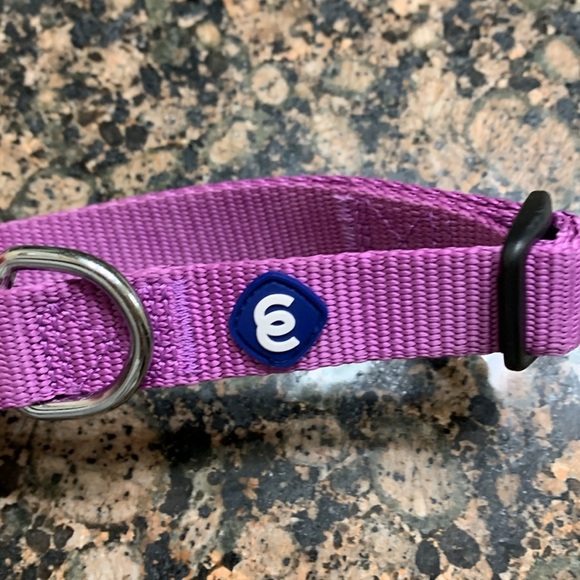 Blueberry Pet Classic Dog Collar, Dark Orchid, Nylon Collars for Dogs - Picture 4 of 7